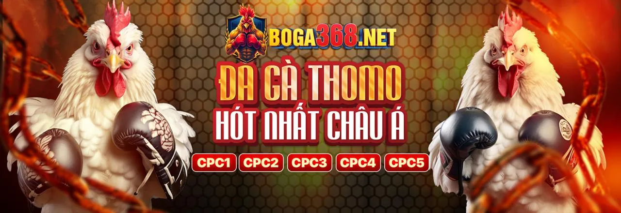 Đá gà trực tuyến MOT88 với trận đấu kịch tính