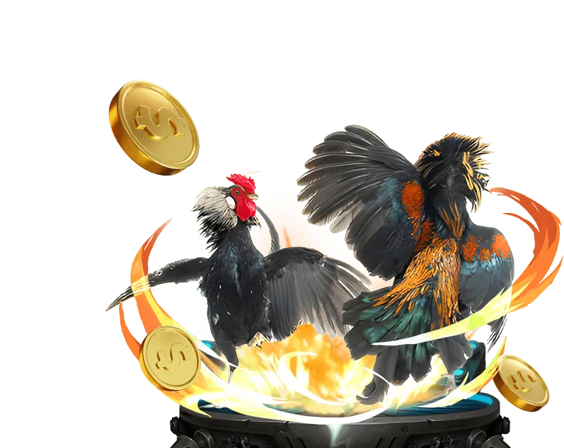 Hình ảnh kết luận và lời kêu gọi hành động